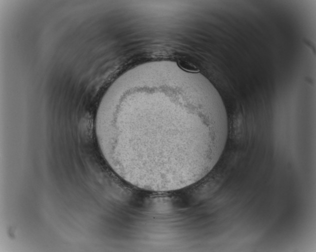X0000103420228200809261715