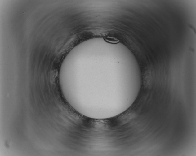 X0000103420229200809261715
