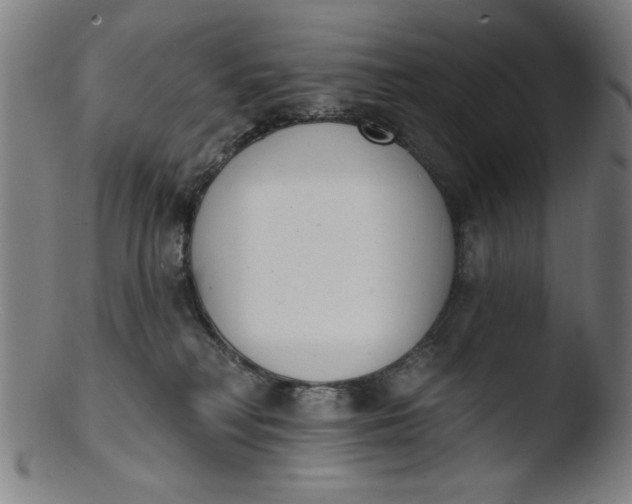X0000103420230200809261715