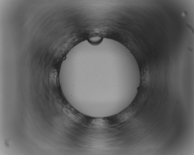 X0000103420231200809261715