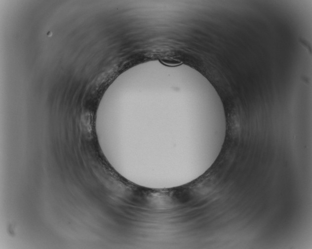 X0000103420232200809261715