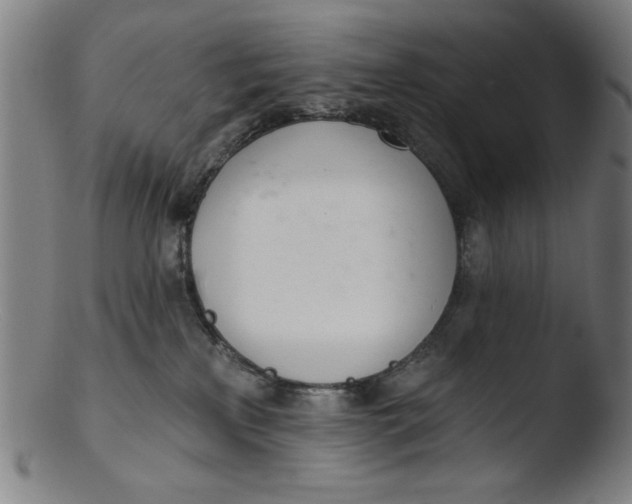 X0000103420233200809261715