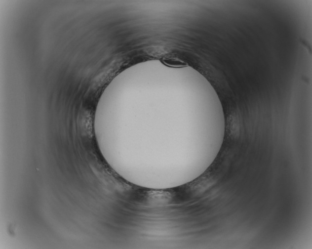 X0000103420234200809261715