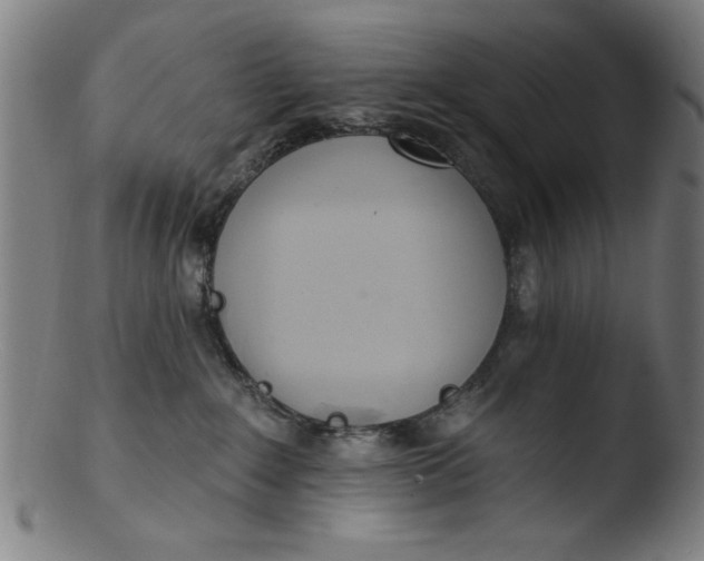 X0000103420235200809261715