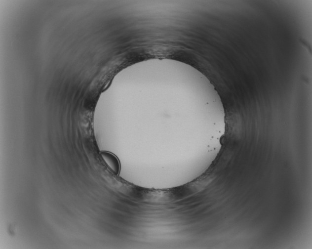 X0000103420237200809261715