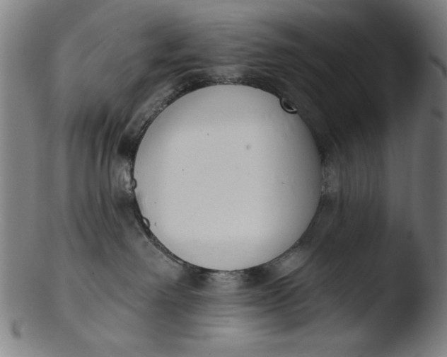 X0000103420238200809261714