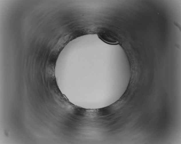 X0000103420240200809261714
