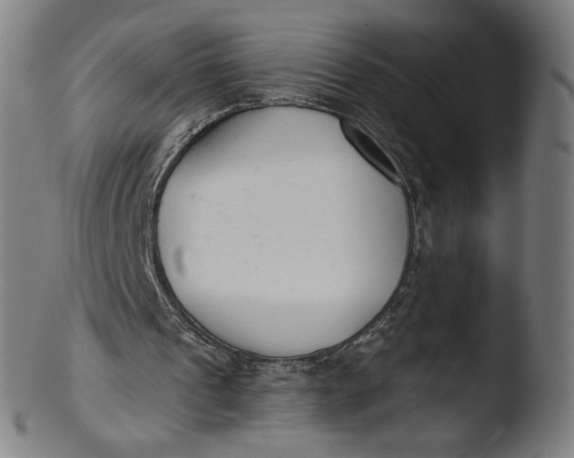 X0000103420241200809261714