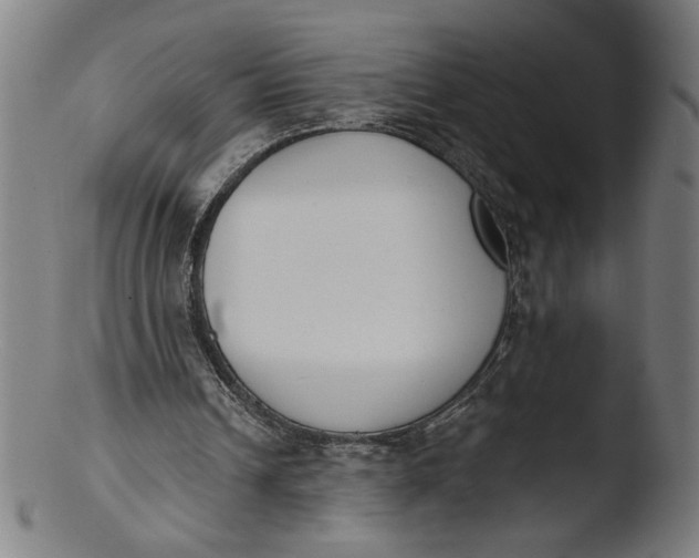 X0000103420242200809261714