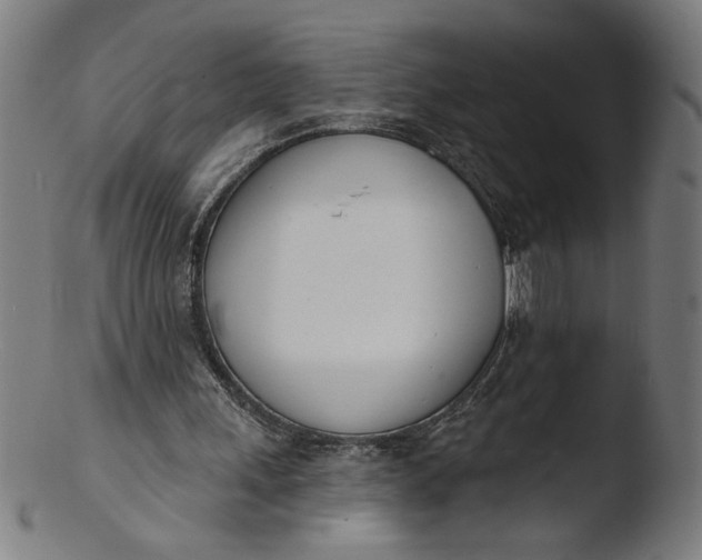 X0000103420243200809261714