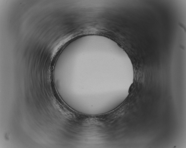 X0000103420244200809261714