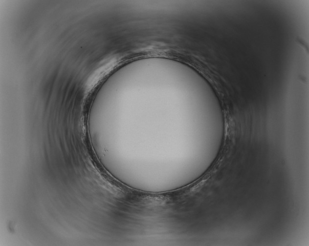 X0000103420245200809261714