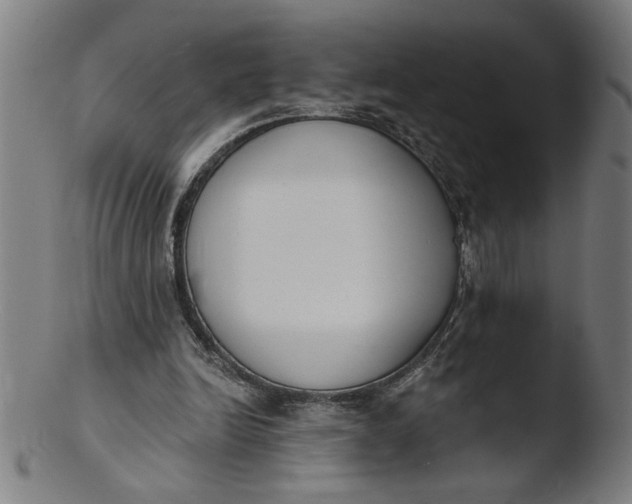 X0000103420246200809261714