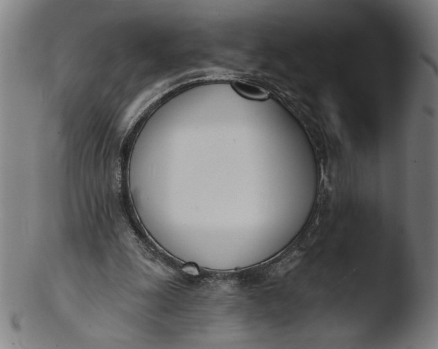 X0000103420247200809261714