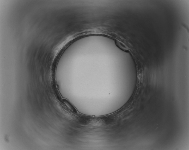 X0000103420248200809261714