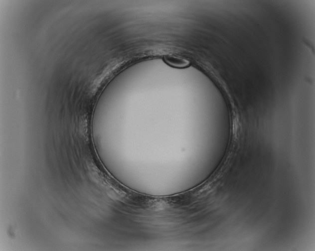 X0000103420249200809261714