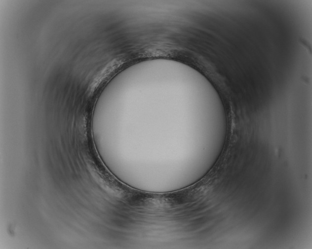 X0000103420250200809261714