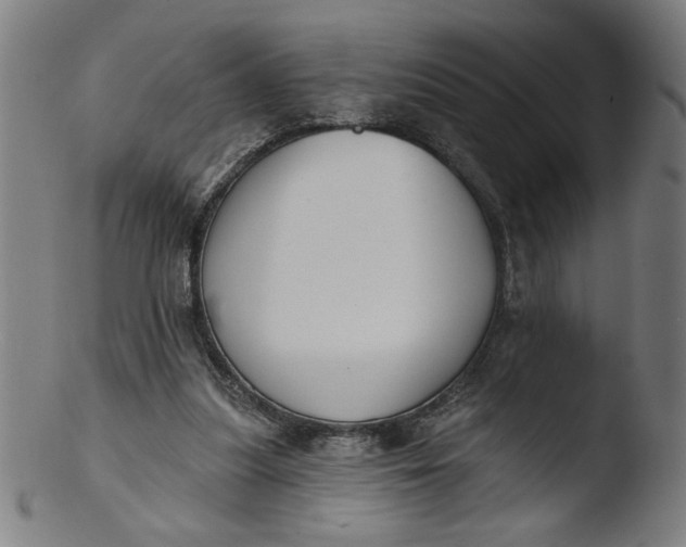 X0000103420251200809261714