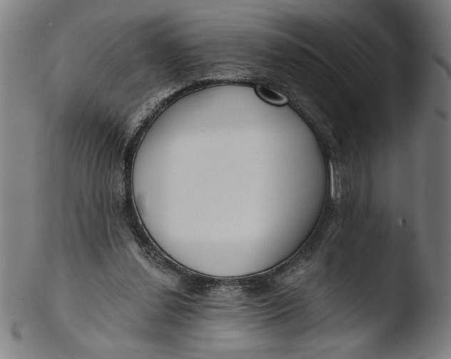 X0000103420252200809261714