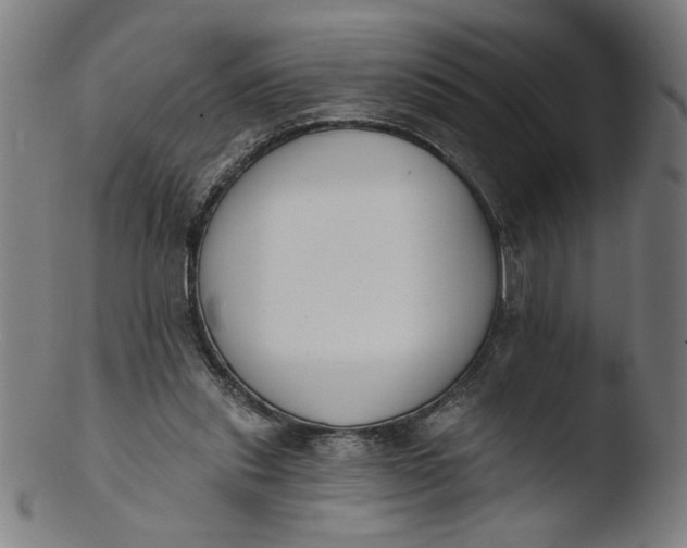 X0000103420253200809261714