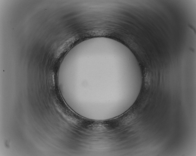 X0000103420254200809261714