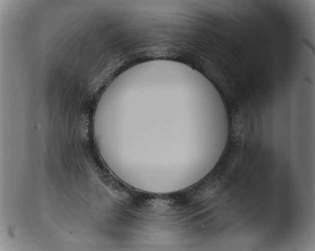 X0000103420255200809261714