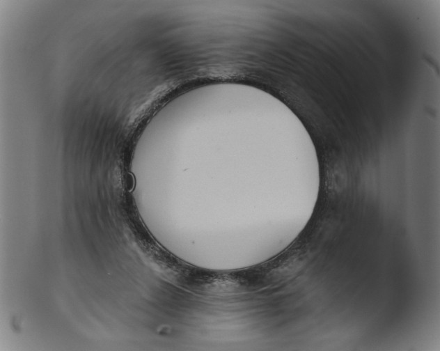 X0000103420256200809261714
