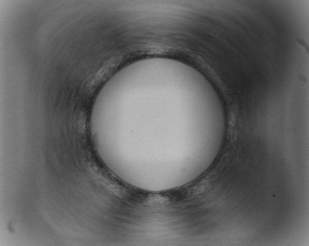 X0000103420257200809261714