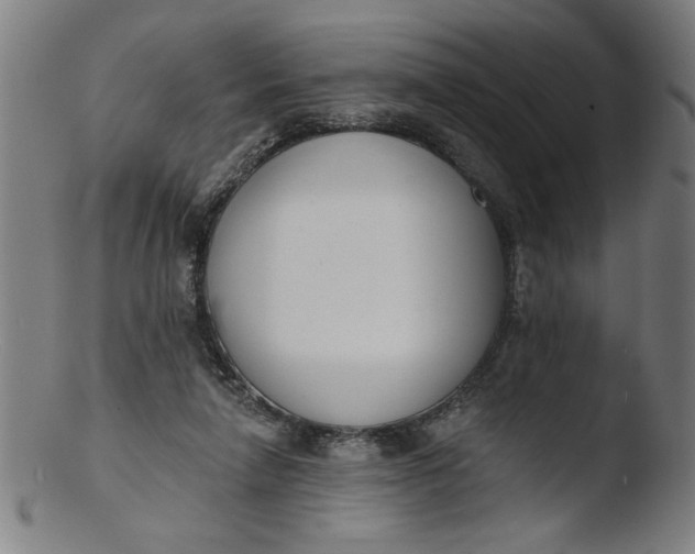 X0000103420258200809261714