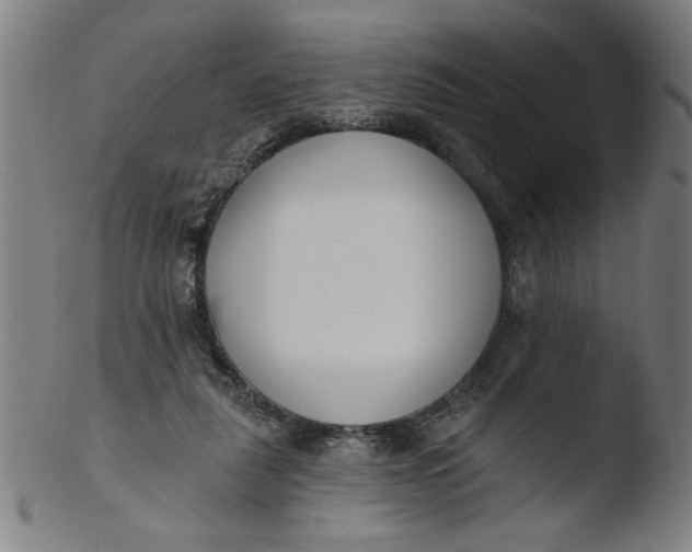 X0000103420259200809261714