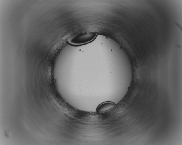 X0000103420260200809261714