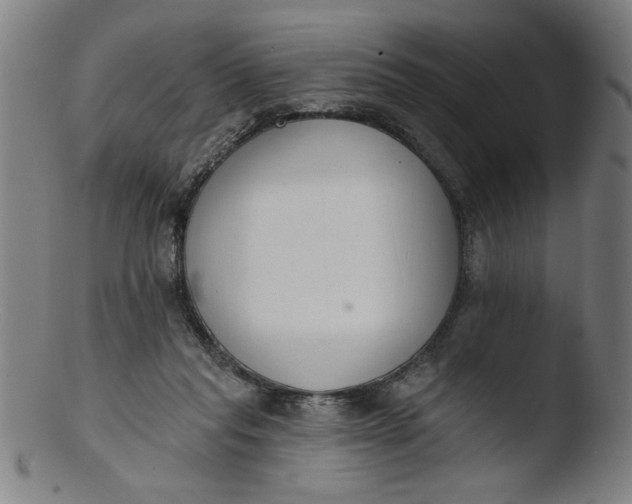 X0000103420261200809261714