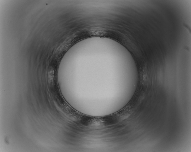 X0000103420263200809261714