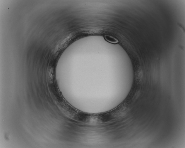 X0000103420264200809261714