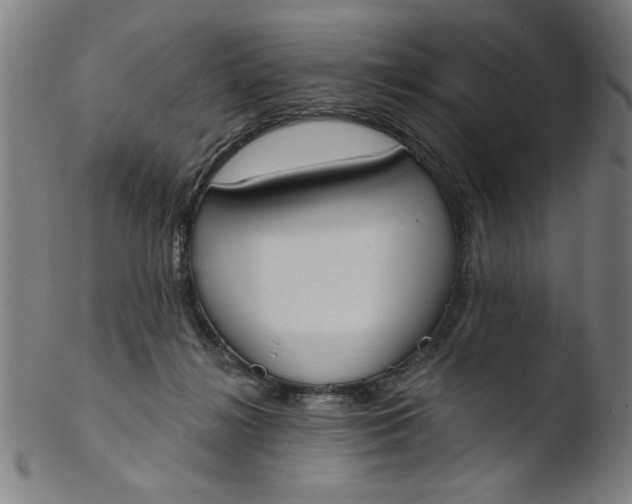 X0000103420268200809261714