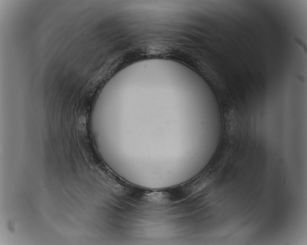 X0000103420269200809261714