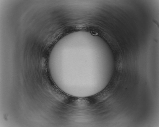 X0000103420270200809261714
