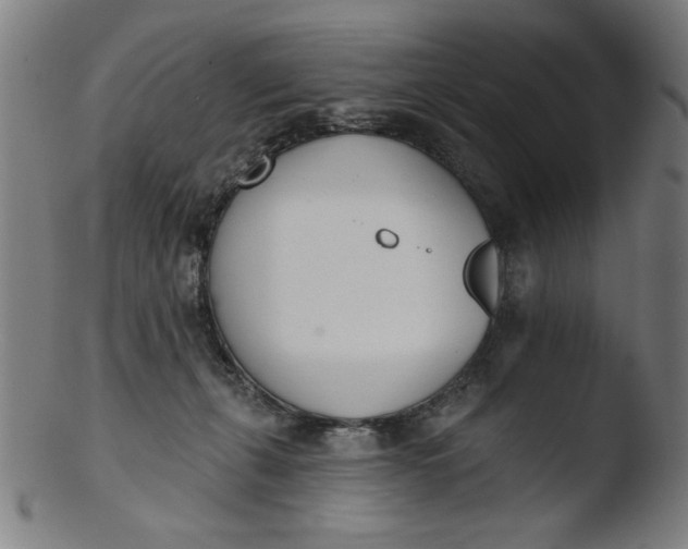X0000103420271200809261714