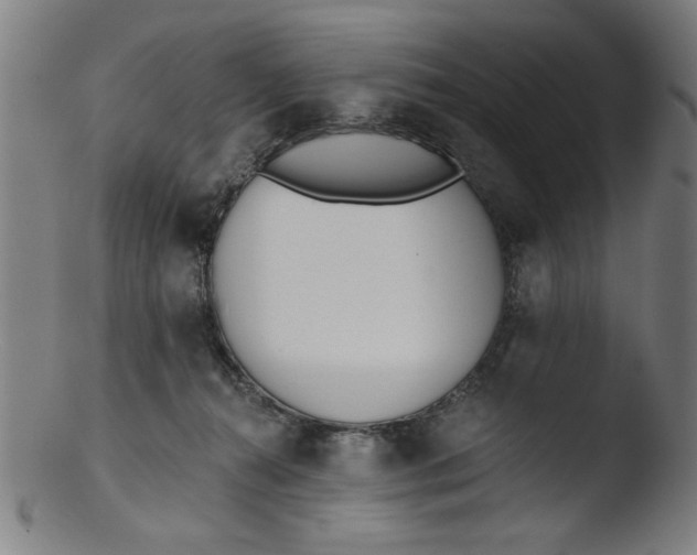 X0000103420272200809261714