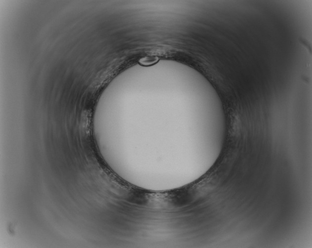 X0000103420273200809261714