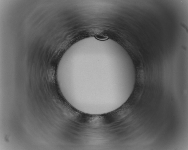 X0000103420274200809261714