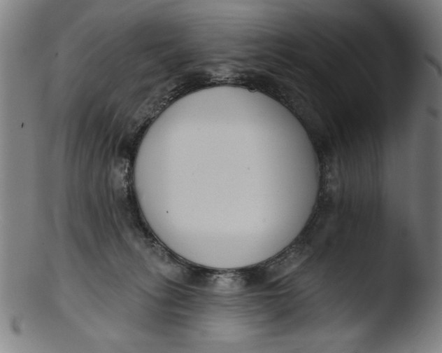 X0000103420275200809261714