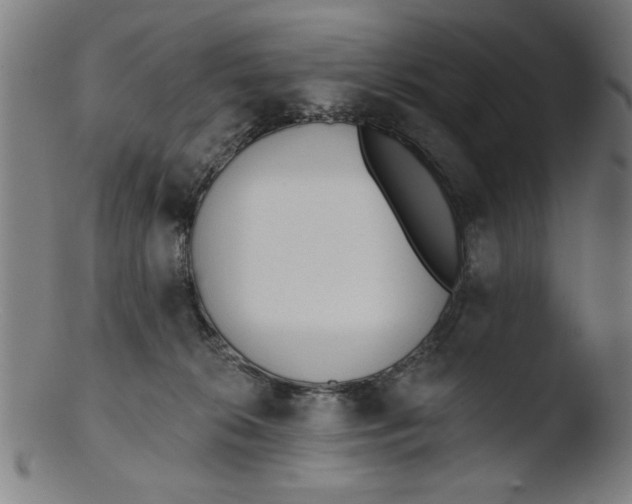 X0000103420276200809261714