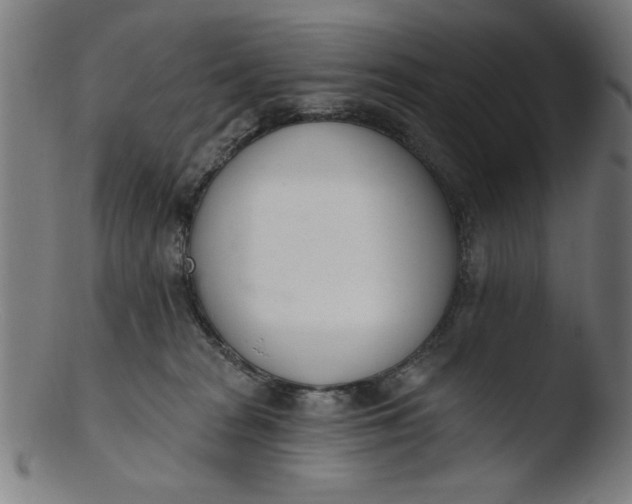 X0000103420277200809261714