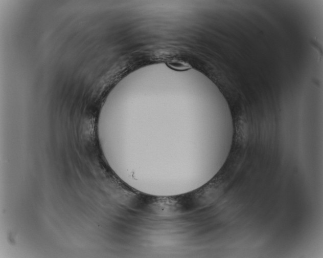 X0000103420278200809261714