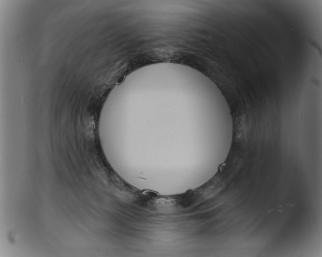 X0000103420279200809261714
