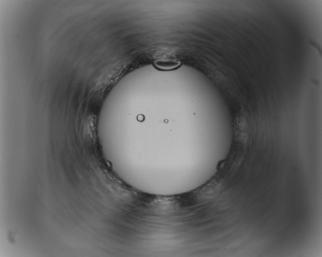 X0000103420280200809261714
