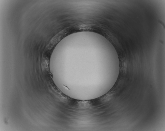 X0000103420281200809261714