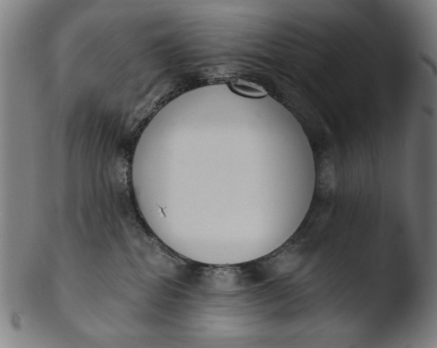 X0000103420282200809261714