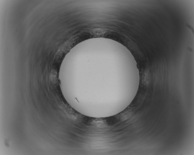 X0000103420283200809261714